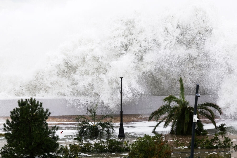 Очевидцы рассказали, что животные почувствовали приближение шторма в Крыму