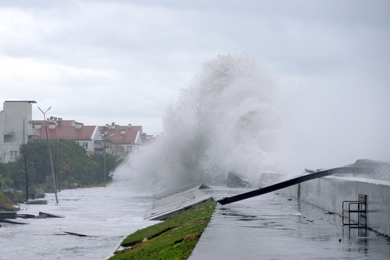 Очевидцы рассказали, что животные почувствовали приближение шторма в Крыму